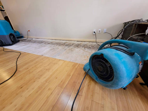 Professional Water Extraction technician working in North Andover, MA
